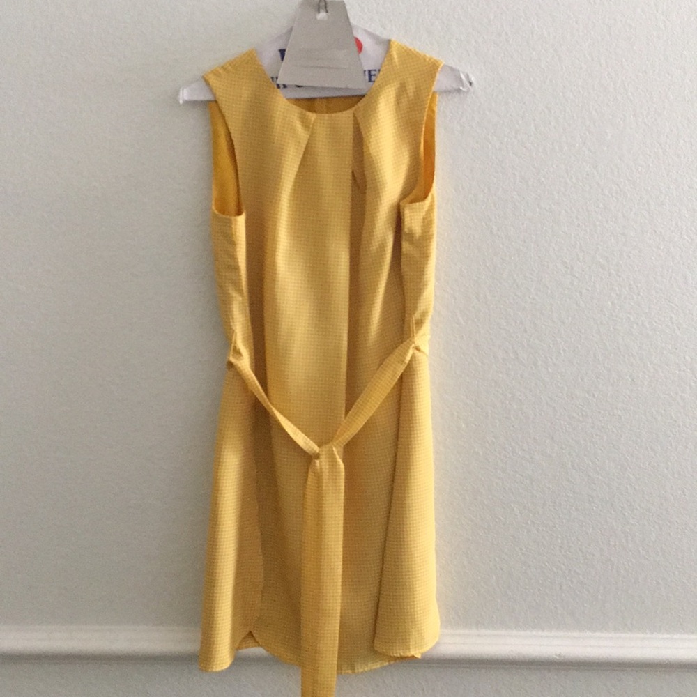 Ann Taylor sleeveless dress with tulip hem.